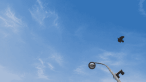 Read more about the article Anonyme Alkoholiker: Gemeinsam den Weg in die Abstinenz gehen