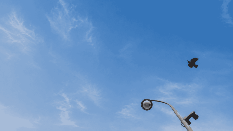 Read more about the article Anonyme Alkoholiker: Gemeinsam den Weg in die Abstinenz gehen